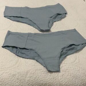 Wool& Merino Wool Women’s Underwear, 2 pair, Blue, 1X